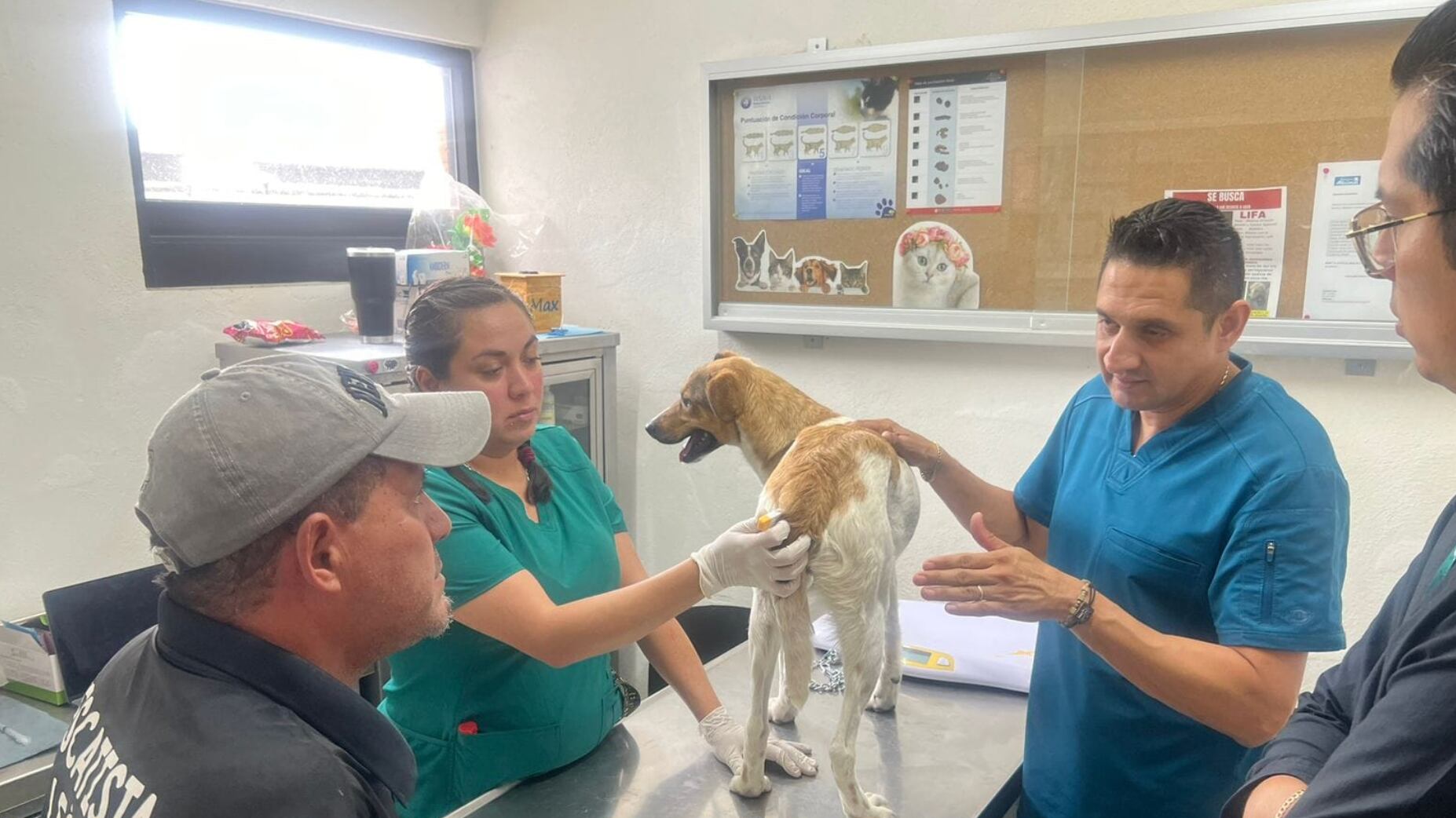 Libertad fue resguardada junto con otras tres mascotas.