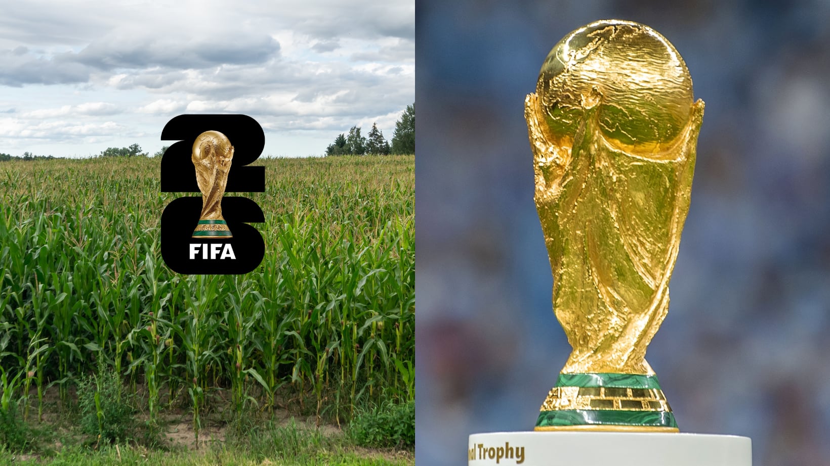 Agricultores y transportistas advirtieron a la FIFA.