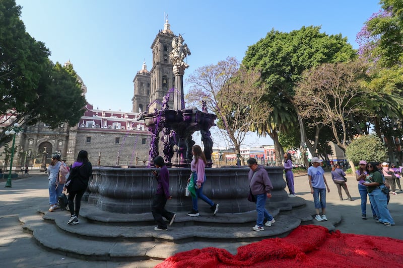 FOTO: Diego Alducin / Agencia Enfoque