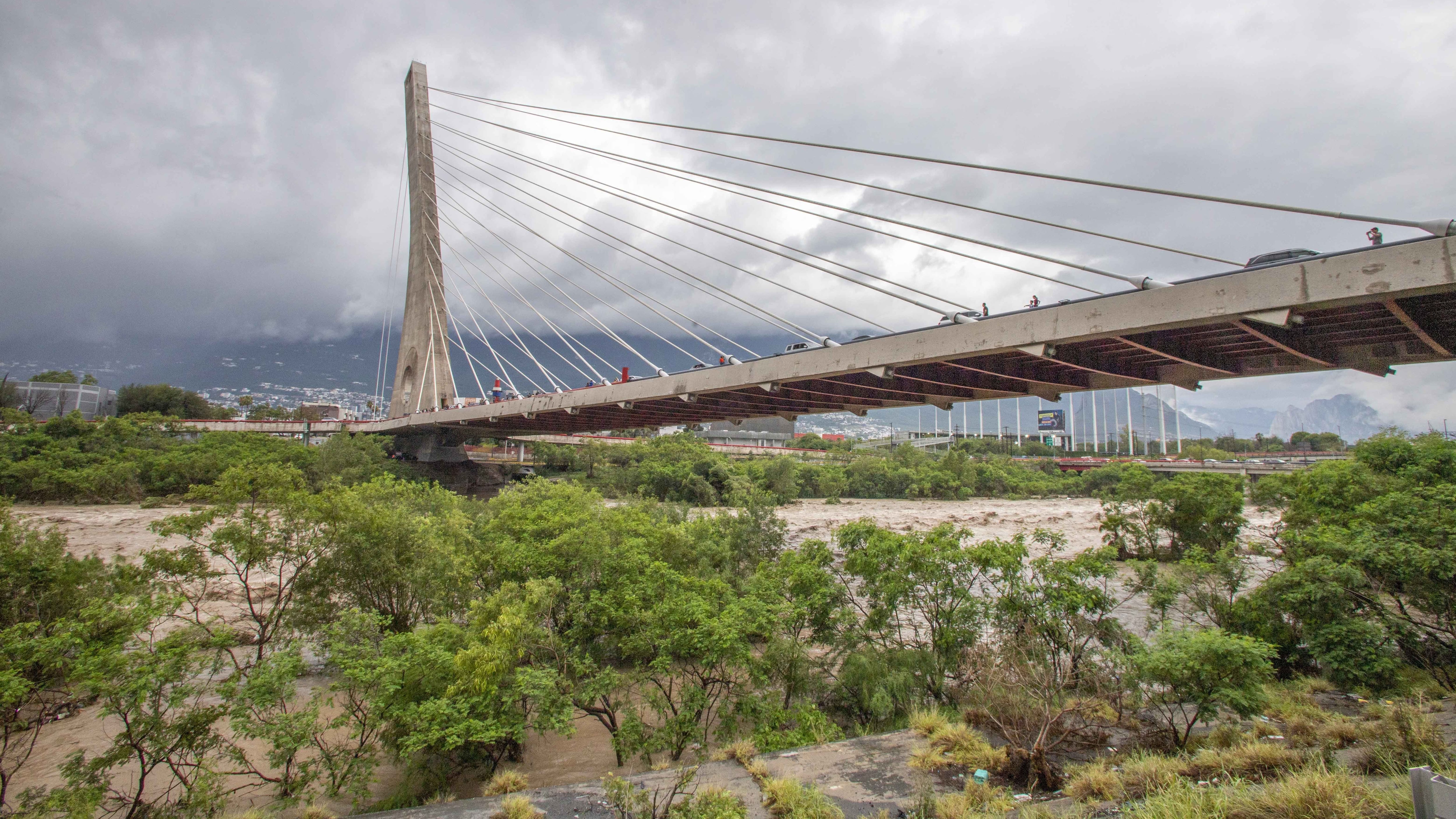 El Río es hogar de diferentes especies de flora y fauna