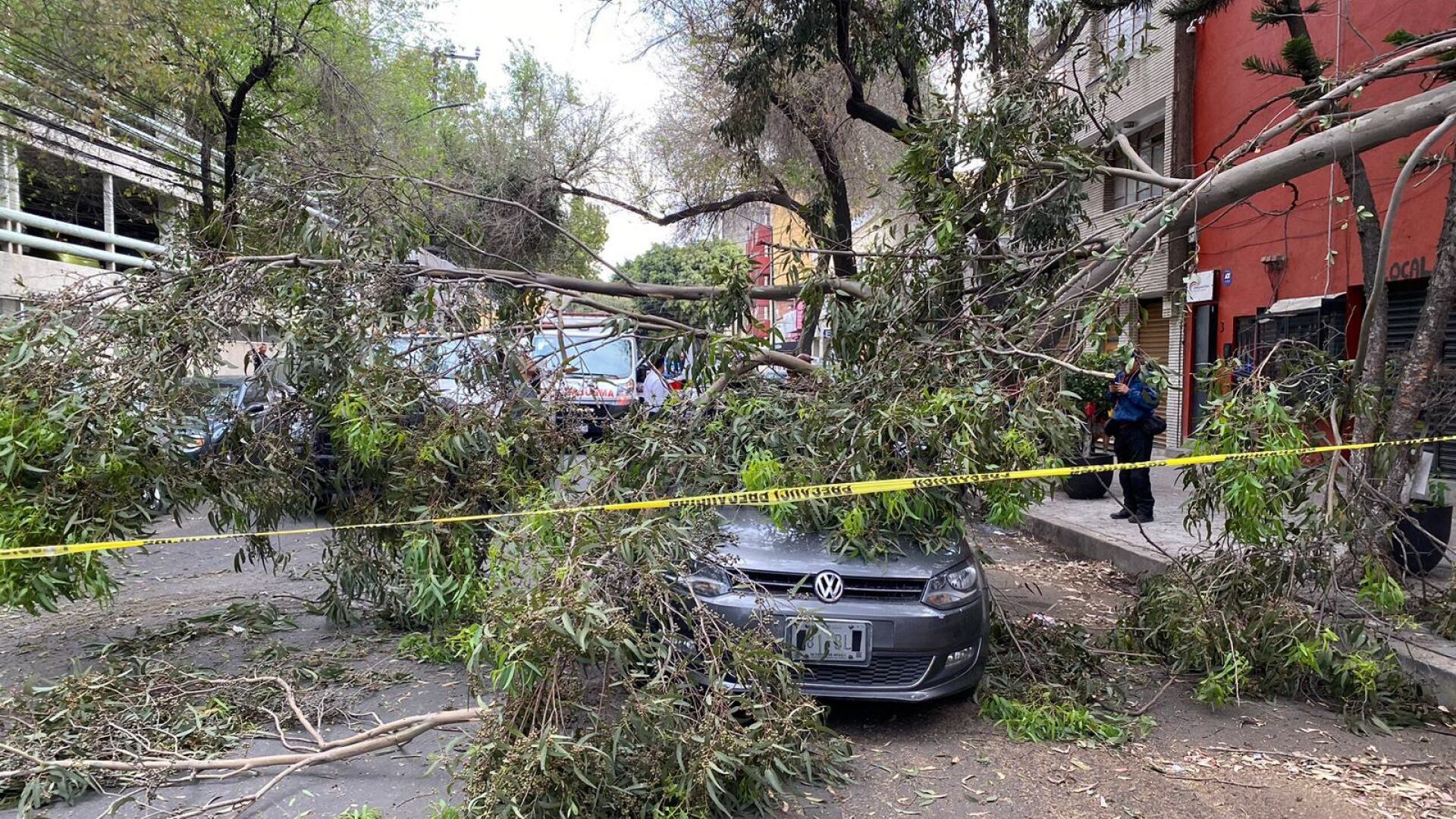 Alerta amarilla por lluvia y viento fuerte en la CDMX 14 de marzo 2023