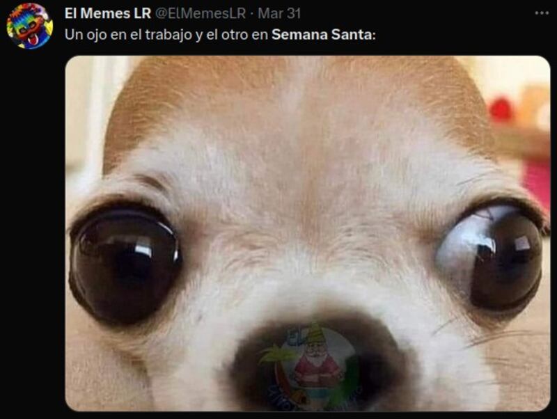 Los mejores memes de Semana Santa