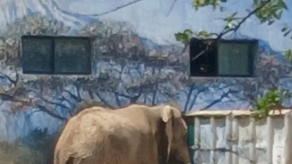 Monty tiene 19 años, pero desde hace seis está solo tras la muerte de Pancha, su madre.