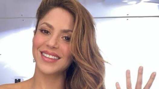 El día que Shakira y Pink asistieron a una entrega de premios con un vestido idéntico