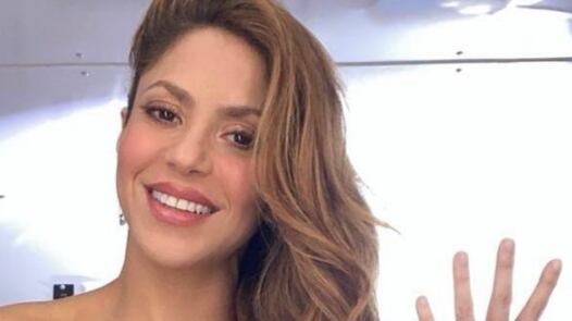 El día que Shakira y Pink asistieron a una entrega de premios con un vestido idéntico