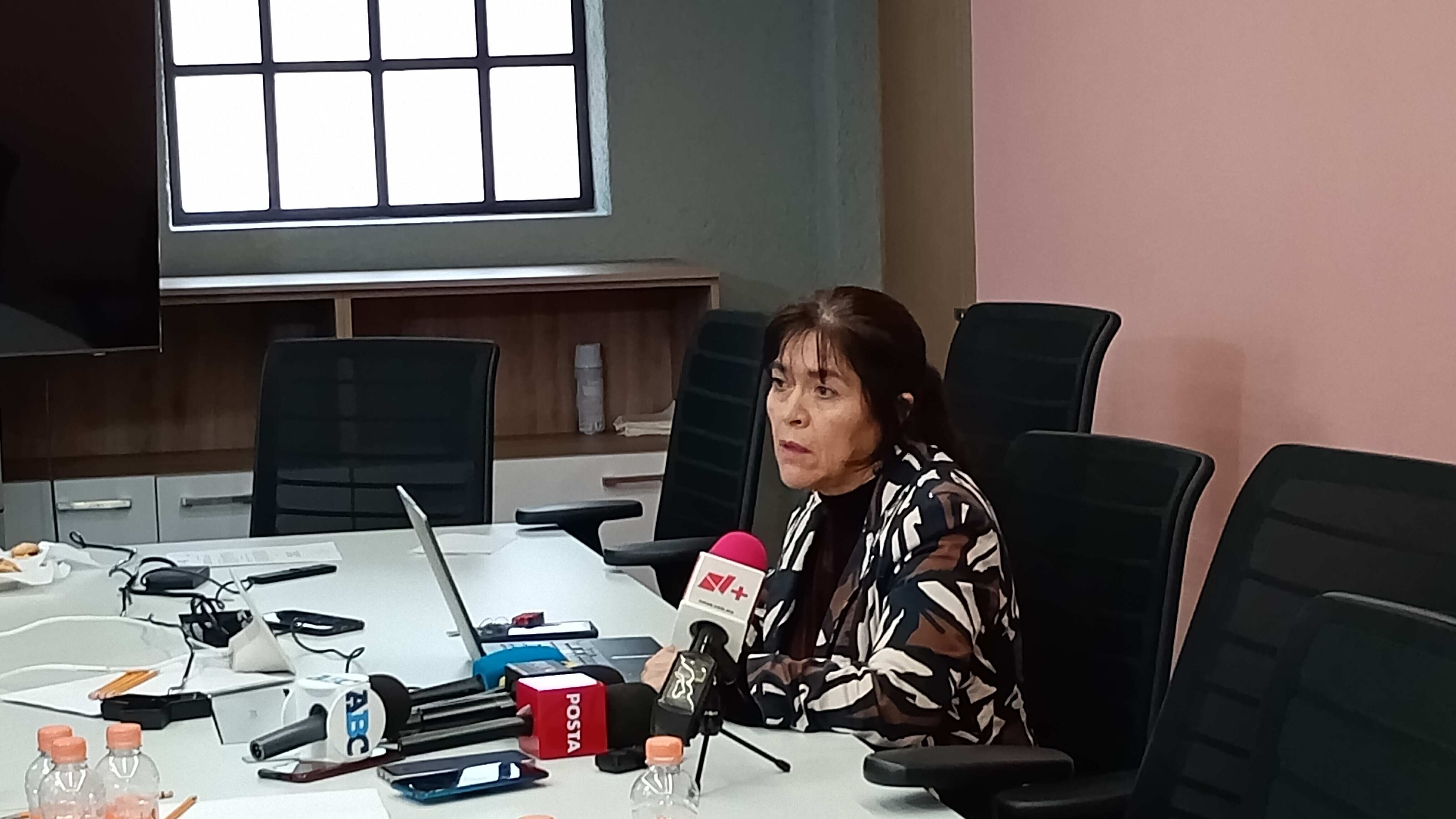 Rita Bustamante, encargada del Consejo Técnico de Movilidad.