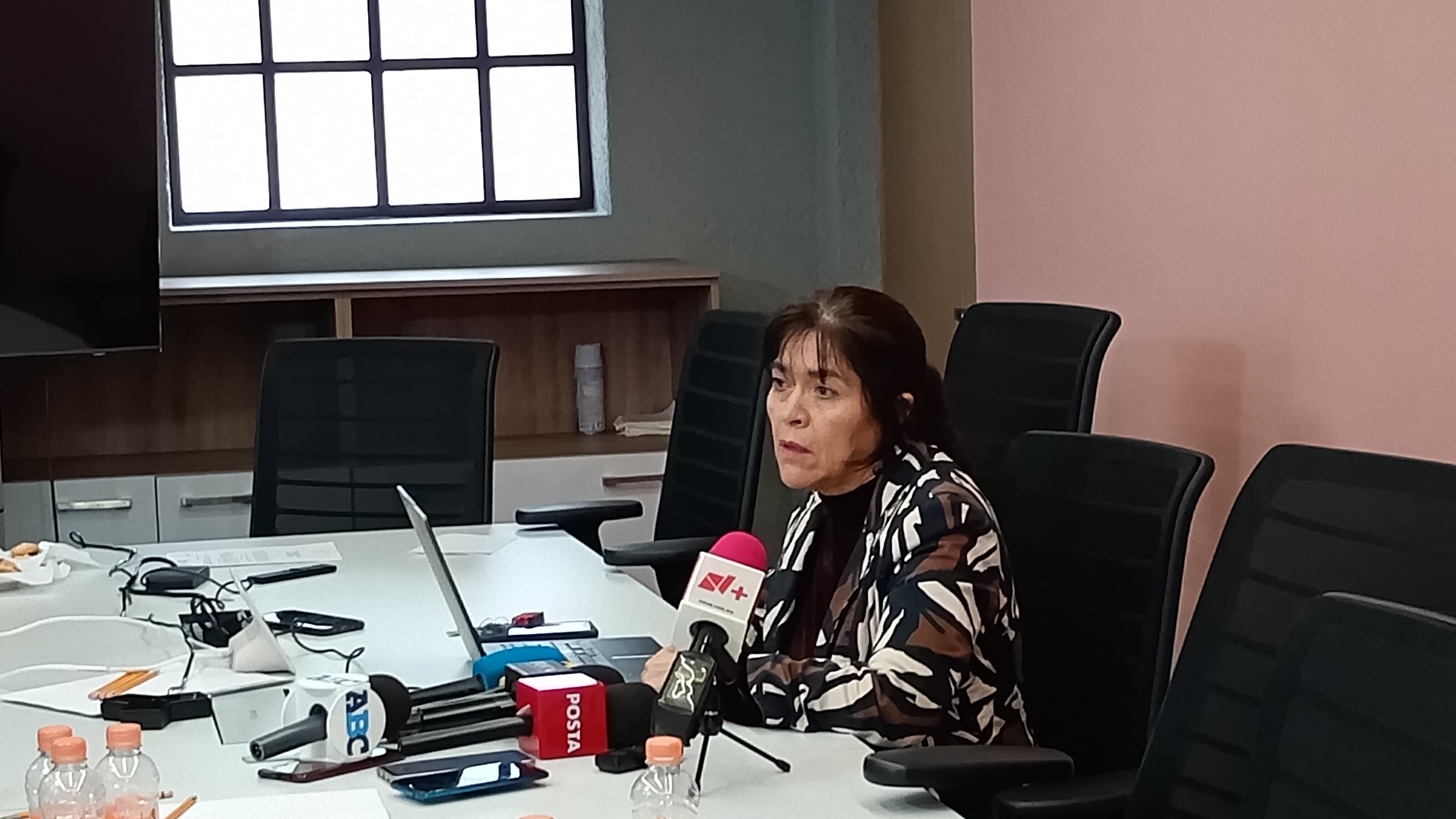Rita Bustamante, encargada del Consejo Técnico de Movilidad.