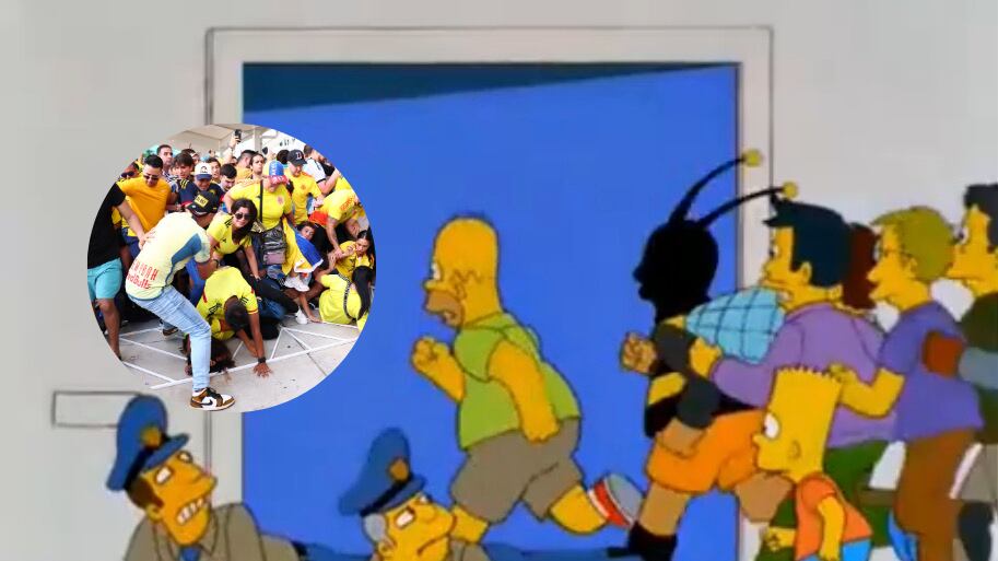 Los Simpson-Copa América