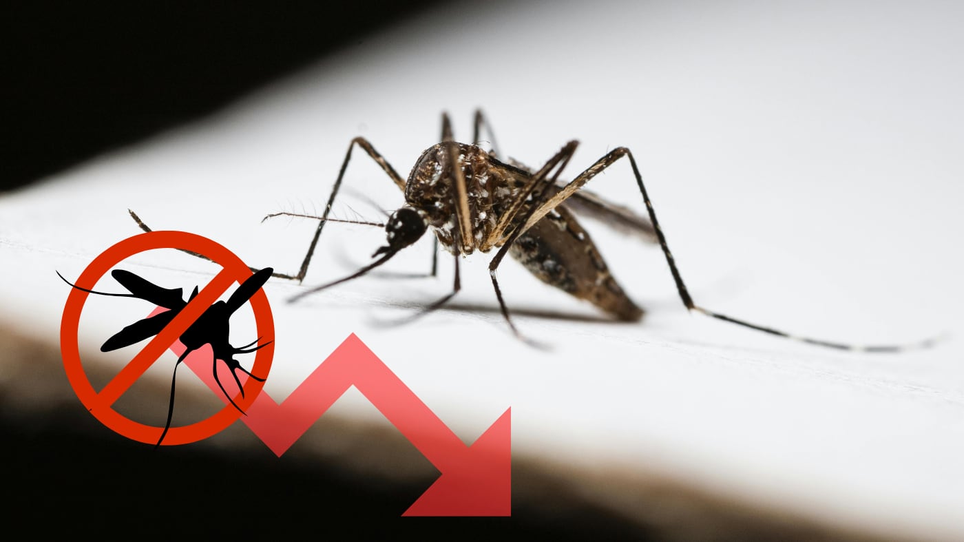 IMAGEN ILUSTRATIVA/ ESPECIAL/ CANVA