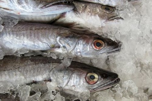 Tips para comprar un buen pescado fresco durante la Semana Santa