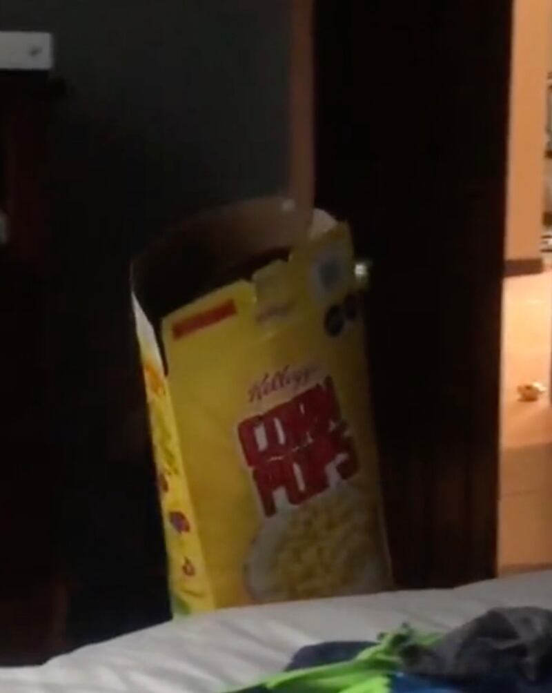 El niño acudió a su mamá al ver que no podía salir de la caja por si solo