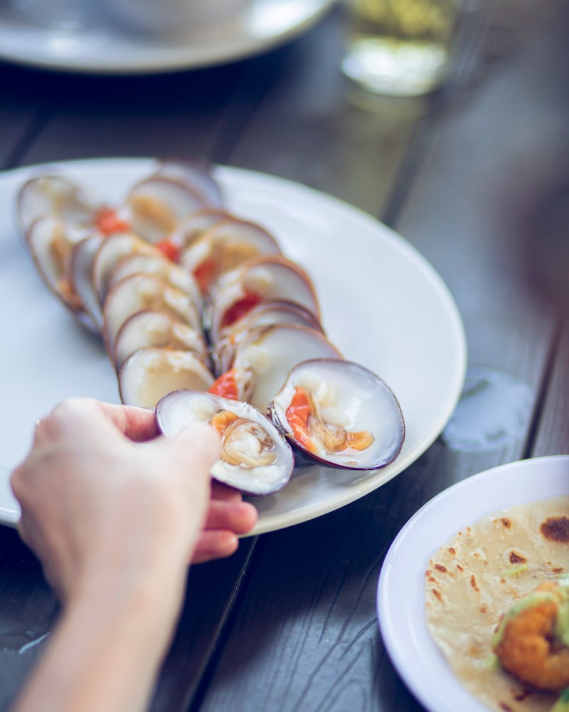 Tianguis Turístico 2026 La Paz