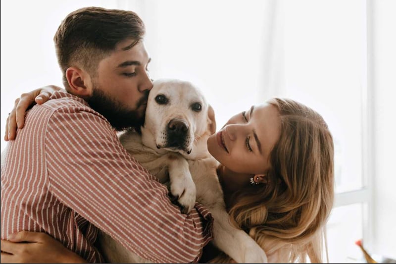 Mascotas son parte de la familia