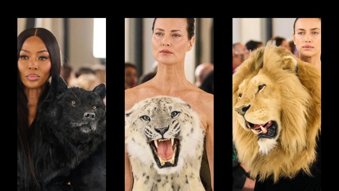 Algunos internautas criticaron piezas como "gatadas".