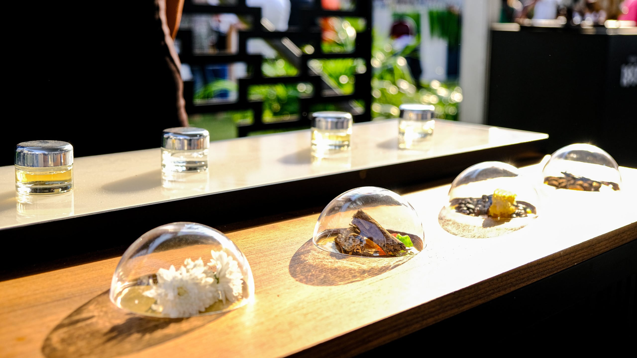 Sabor es Polanco 2026