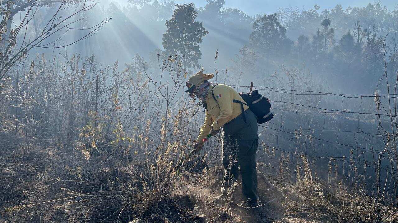 Incendio en Bosque La Primavera