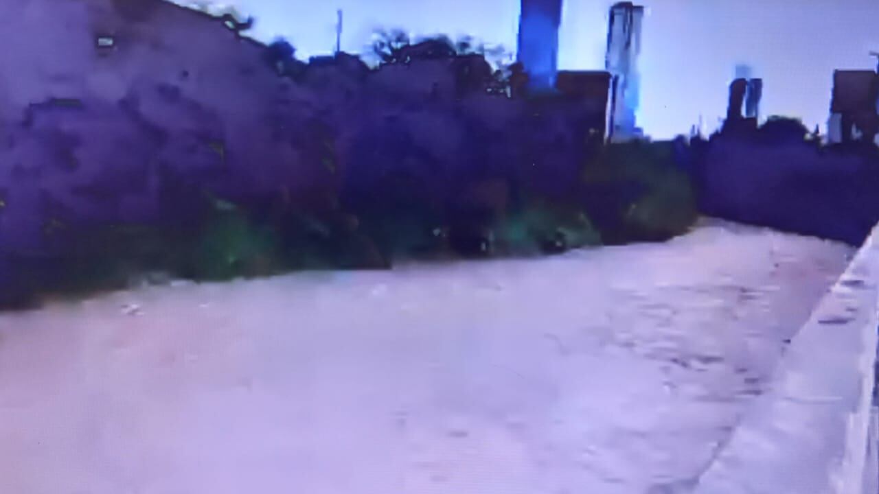 El proyecto Arroyo vivo. Modelo de Remediación y Reciclaje pretende restacar este afluente.