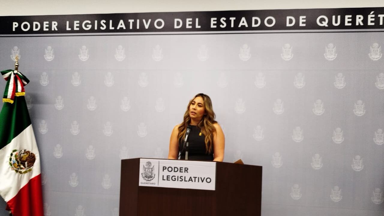 Diputada Andrea Tovar Saavedra.