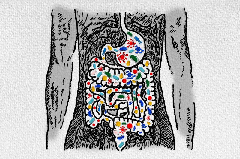 Conoce como mejora tu salud consumir este tipo de microorganismos