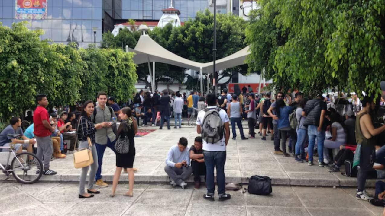 Campamento de Cannábis CDMX