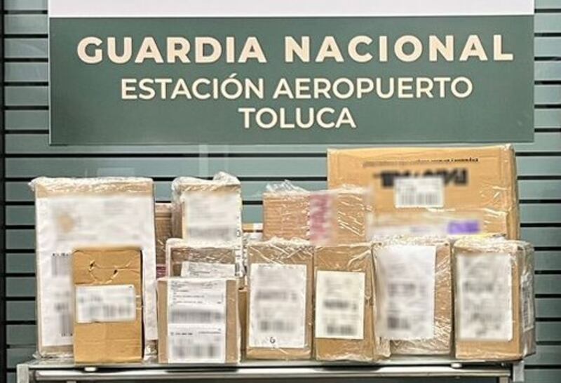Perro de la Guardia Nacional localiza 16b paquetes con marihuana