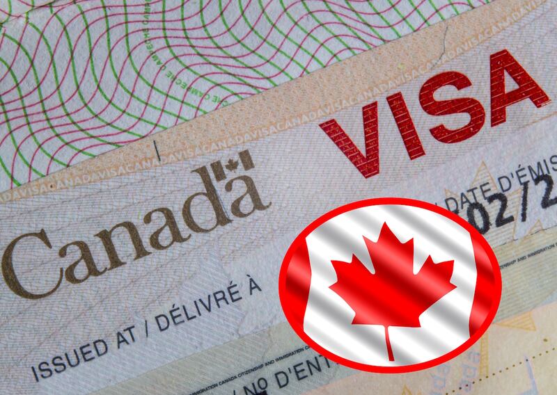 El documento podría ser obligatorio para los mexicanos. (Dreamstime)