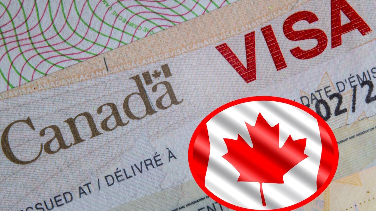 El documento podría ser obligatorio para los mexicanos. (Dreamstime)