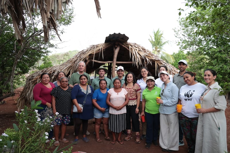 Proyecto Herencia Maya
