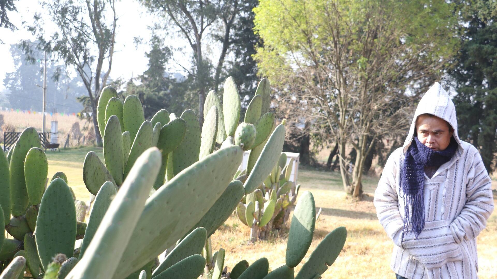 Pronóstico del clima del 19 de noviembre para la CDMX y el Edomex