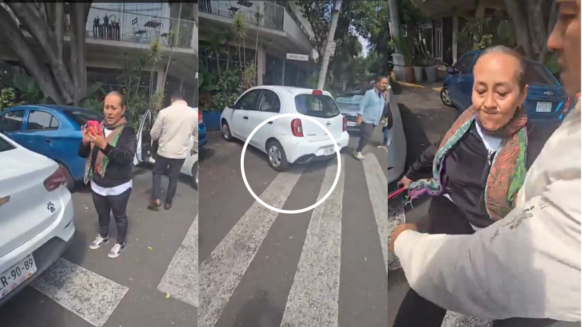 La mujer lanzó golpes y patadas luego de que los oficiales documentaran su infracción.