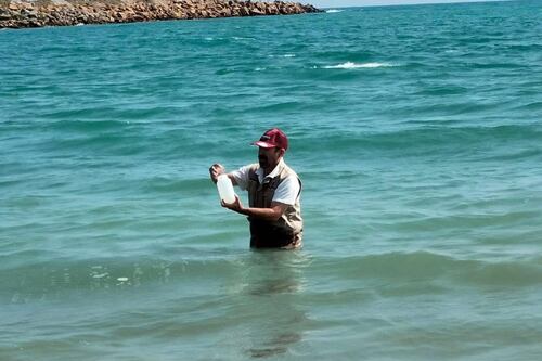 ¡Al agua sin miedo!, playas de Tamaulipas están limpias y son seguras