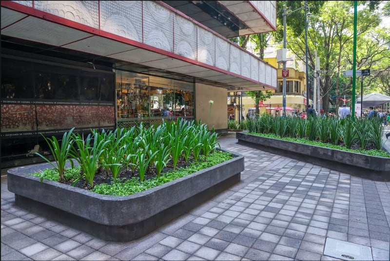 Rehabilitación de la Zona Rosa
