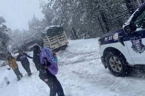 Rescatan a mujeres y niños que estuvieron a punto de morir congelados en Chihuahua