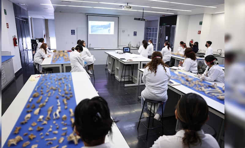 Capacitación forense