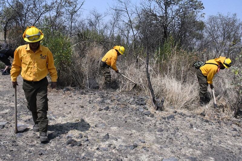 Brigada Harris en Tlalpan