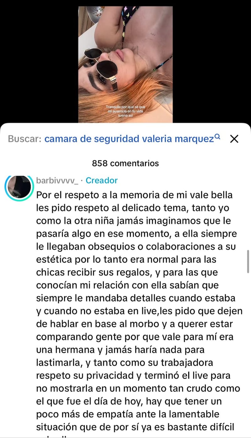 Comentario de Viviana de la Torre en TikTok