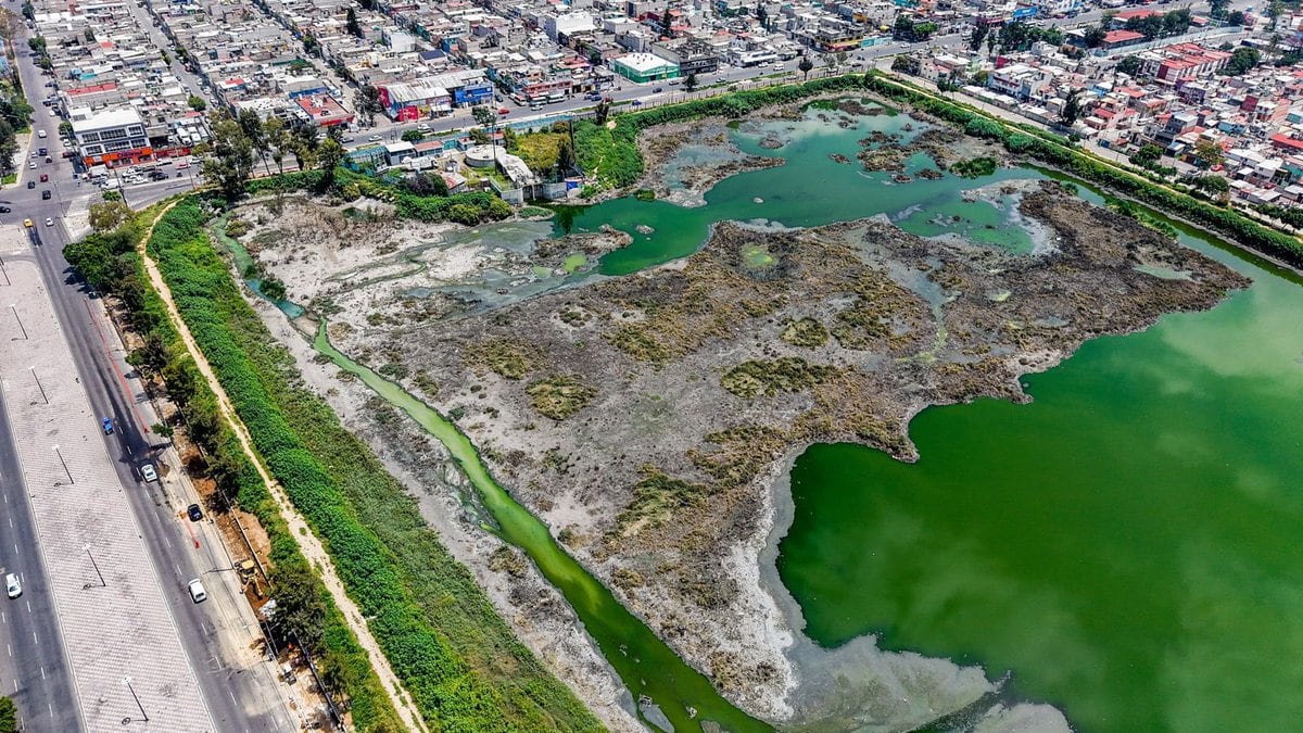 El Saldo
