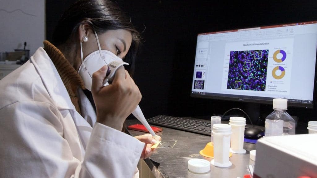 Diputados aprueban creación de nuevas secretarías para gobierno de Sheinbaum