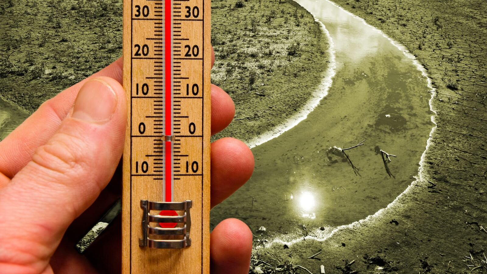 contiene un diagnóstico objetivo de cómo el cambio climático está afectando al Estado y de cuáles son los escenarios climáticos futuros.