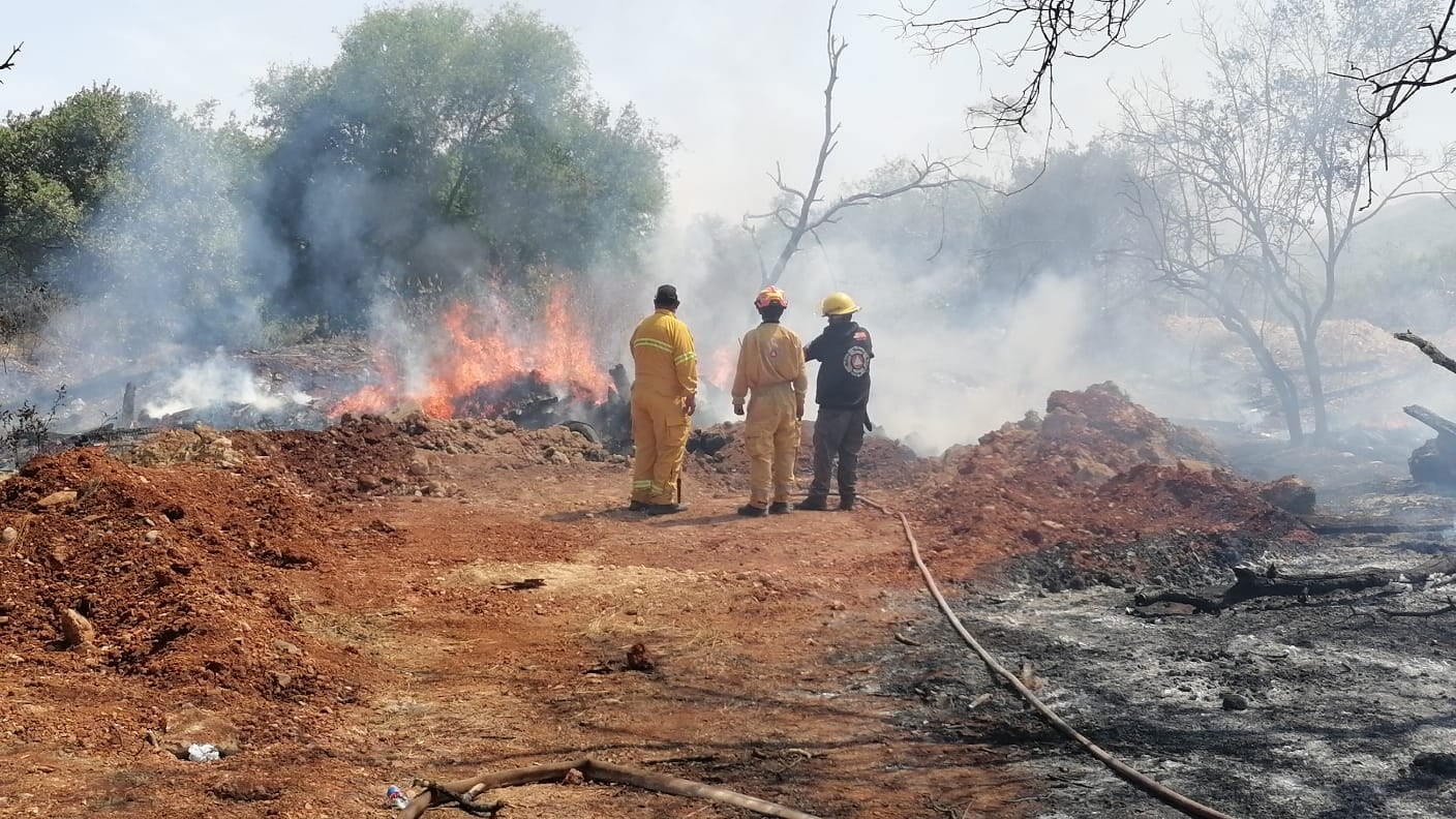 Las áreas más afectadas fueron los pastizales con más de mil 300 siniestros.