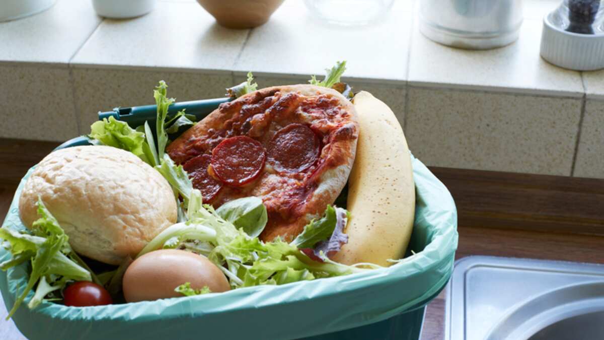 Cómo evitar el desperdicio de comida