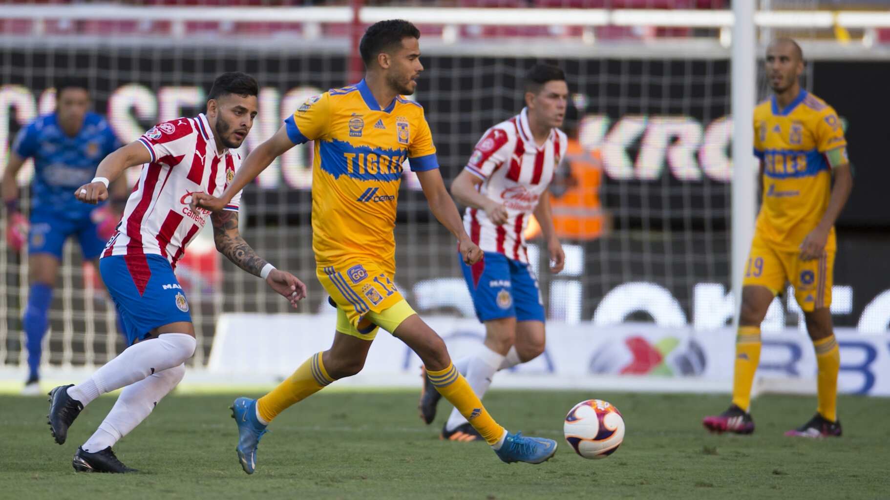 Chivas vs. Tigres | MEXSPORT