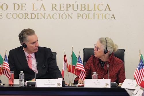 Waldo Fernández participa en diálogo sobre el T-MEC con congresistas de Estados Unidos
