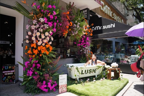 Polanco florece con el Festival de las Flores y Jardines 2026