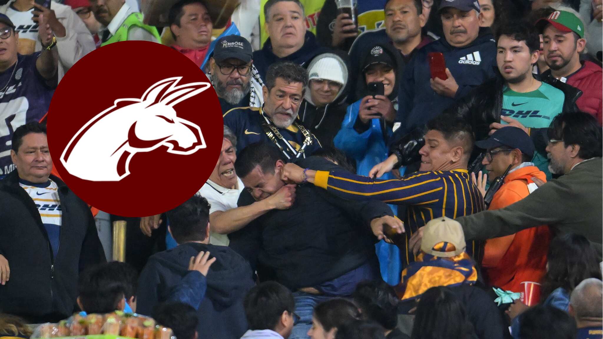 Futbolista de Burros Blancos es identificado como agresor en el Clásico Capitalino