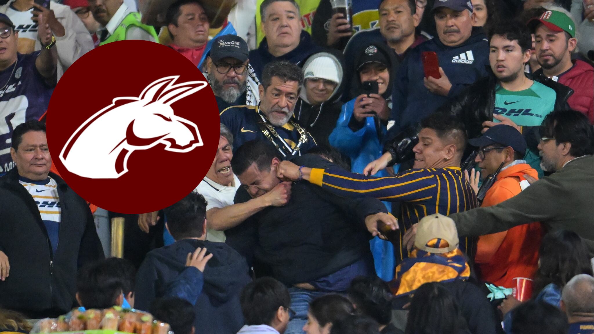 Futbolista de Burros Blancos es identificado como agresor en el Clásico Capitalino