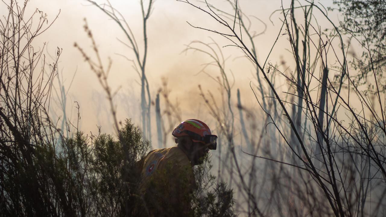Cavazos también señaló vehículos, el comercio, la industria y un porcentaje muy mínimo fueron dos escuelas que prácticamente no se quemaron.