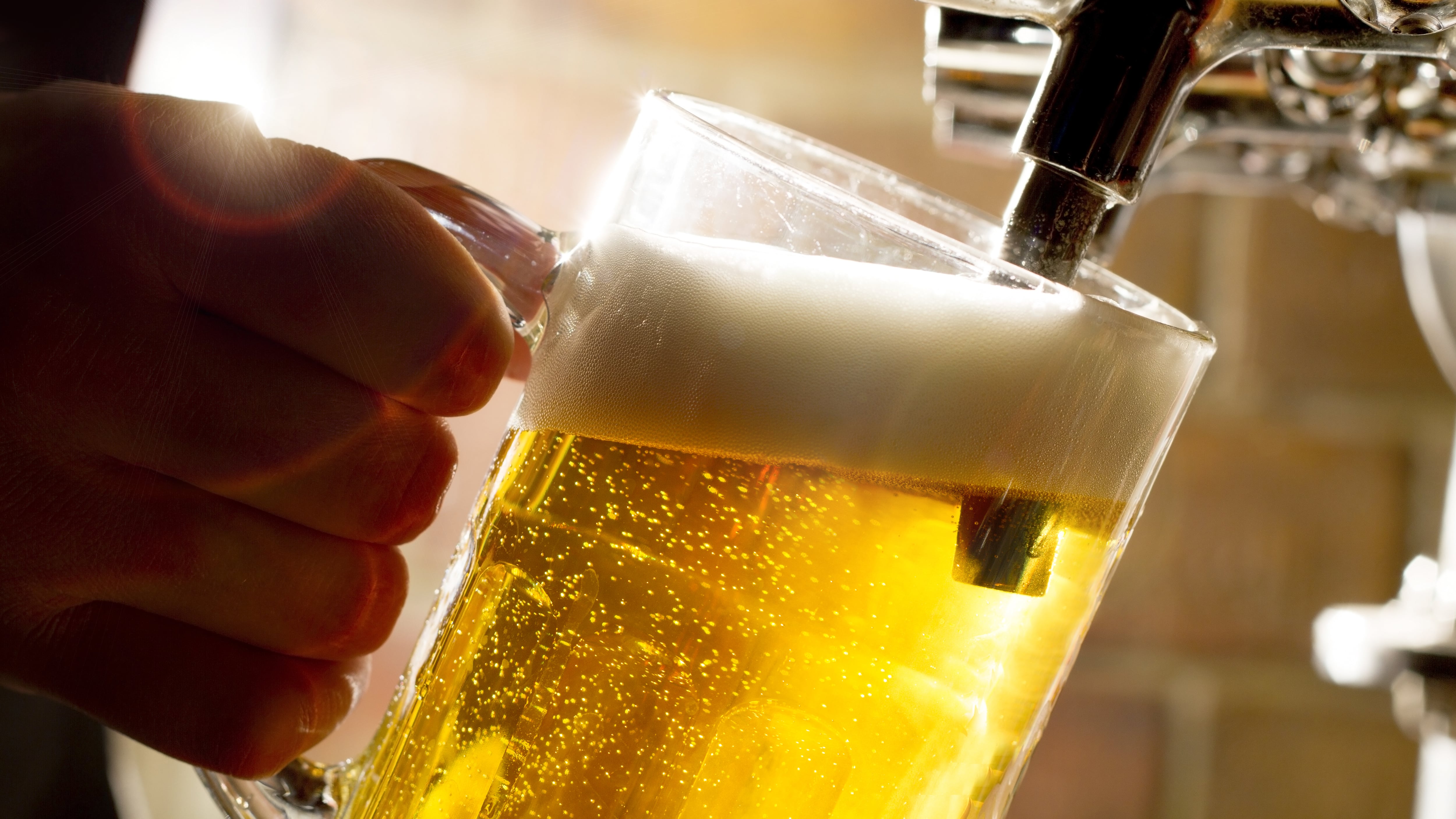 Día de la Cerveza Duolingo