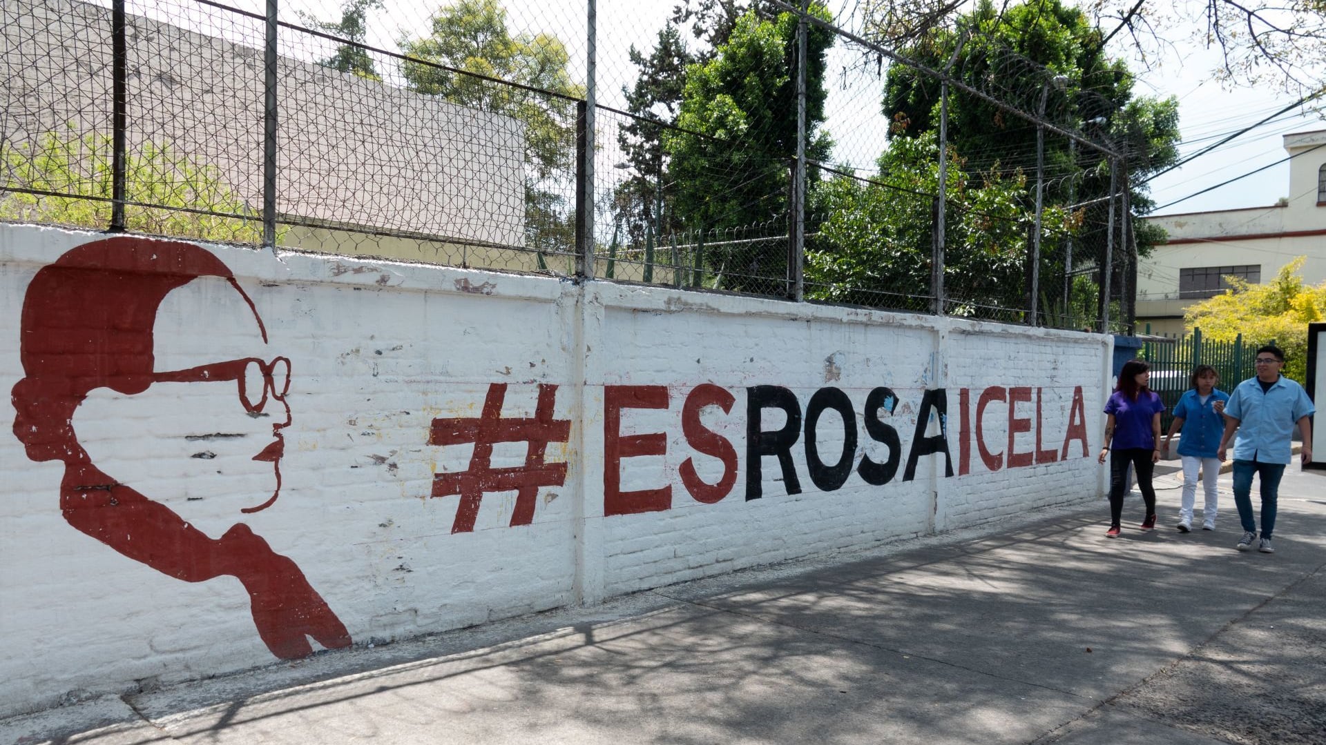 Una barda en apoyo a la secretaria de Seguridad Rosa Icela Rodríguez se observa en la alcaldía Coyoacán.