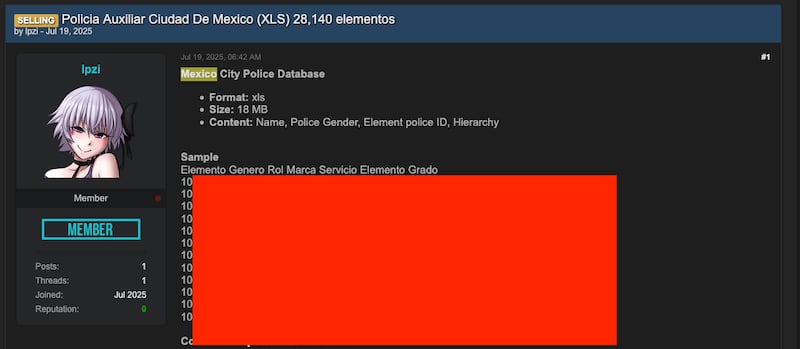 Con nombre y matrícula, es fácil para criminales rastrear familiares, teléfonos y domicilios de los policías expuestos.
